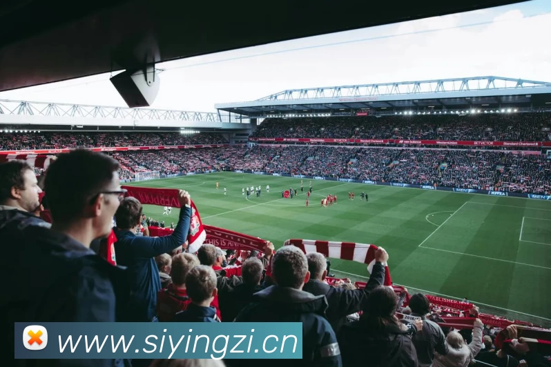 辅助工具 辅助工具